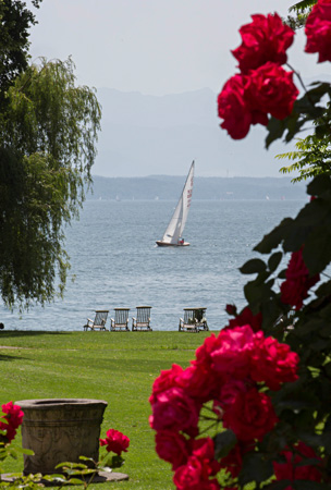 starnbergersee_304x450